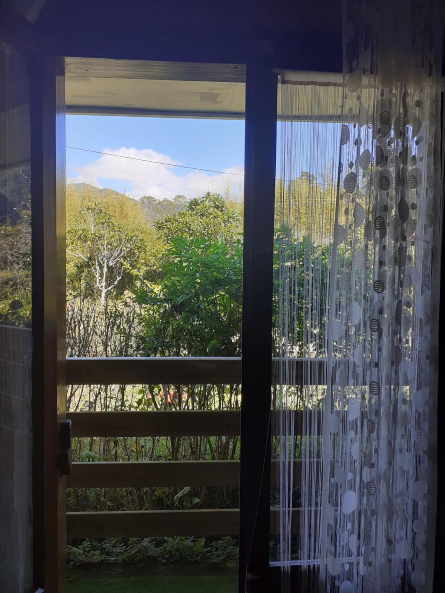 Le Clos Des Mimosas La Plaine des Palmistes Exterior foto